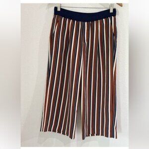 Zara Wide Leg Striped Pants in Navy, White & Brown